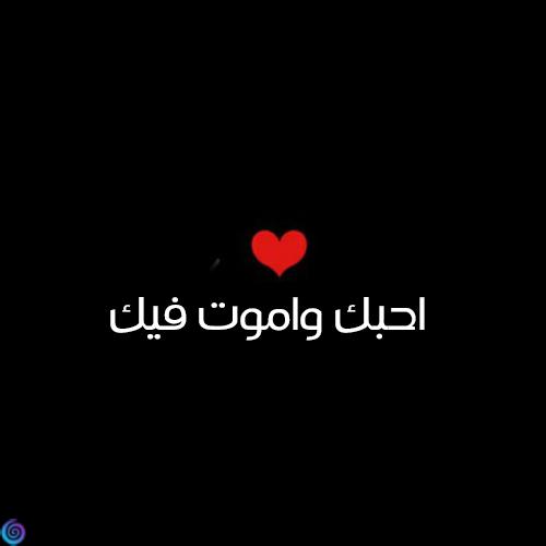 رسائل حب واتس مصرية رسائل واتس اب حب وغرام طويله