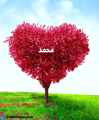 رسائل حب باسم محمد توبيكات بأسم محمد كلام جميل عن اسم محمد شعر على اسم محمد