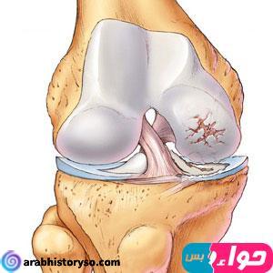 https arabhistoryso com d8 b7 d8 b1 d9 8a d9 82 d8 a9 d8 a7 d9 84 d9 86 d9 88 d9 85 d8 a8 d8 b9 d8 af d8 b9 d9 85 d9 84 d9 8a d8 a9 d8 a7 d9 84 d8 b1 d8 a8 d8 a7 d8 b7 d8 a7 d9 84 d8 b5 d9 84 d9 8a d8 a8 d9 8a