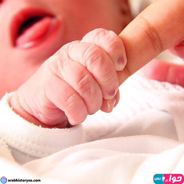 https arabhistoryso com d8 ad d8 b1 d9 83 d8 a7 d8 aa d9 84 d8 a7 d8 a7 d8 b1 d8 a7 d8 af d9 8a d9 87 d9 81 d9 8a d8 a7 d8 b5 d8 a7 d8 a8 d8 b9 d8 a7 d9 84 d9 8a d8 af d8 b9 d9 86 d8 af d8 a7 d9 84 d8 a7 d8 b7 d9 81