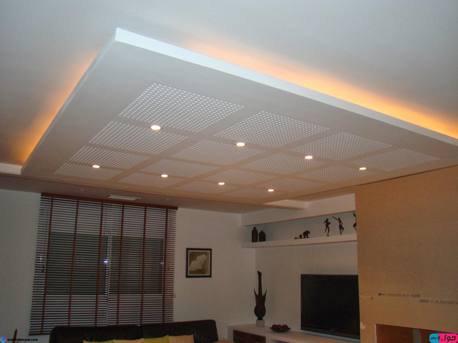 احمل تحليل المستأجر اضاءات اسقف darta cargo com