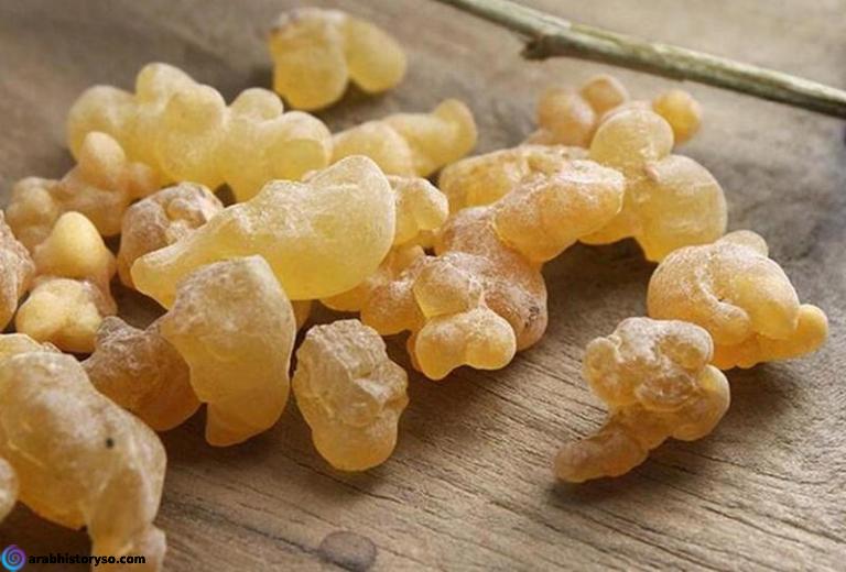 تجربتي شرب منقوع لبان الذكر على الريق و تعرف على الفوائد منه