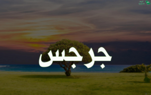 اسم جرجس بكل اللغات