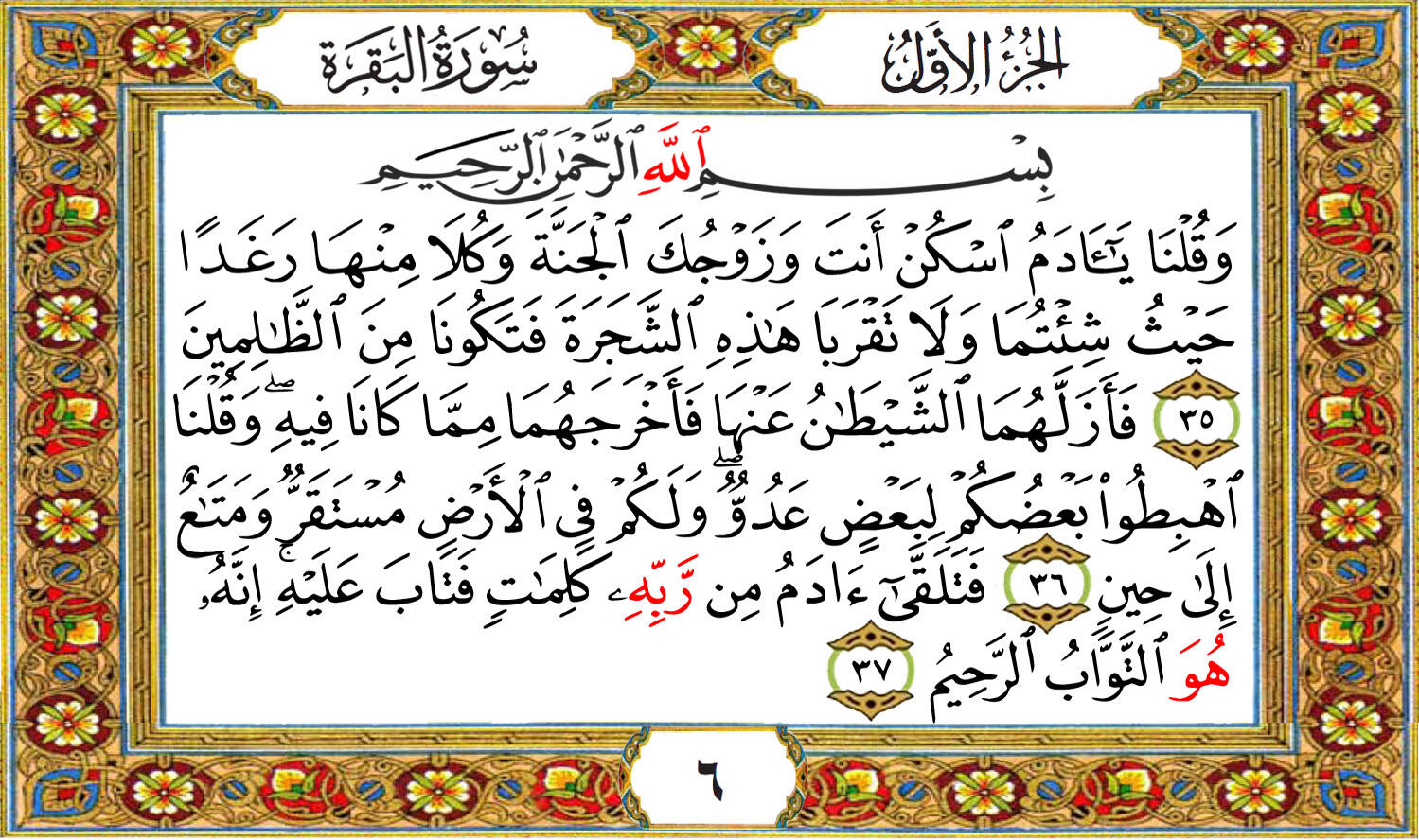 تجربتي مع سورة البقرة