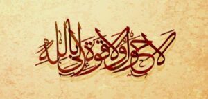 تجربتي مع الحوقلة